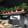 Ceiling Shelf for Flower Pots, Creative Plant Storage Shelf, Floating Shelf, Bar Decoration, Flower Pot Display Stand, Stand for Plant Pots Image 4