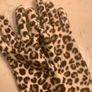 Black Fur Trim Gloves & Animal Print Gloves Image 4