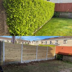 Winter garden clean ups