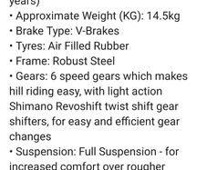 20 inch mountain bike