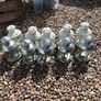 10 Ikea Lanterns Image 2