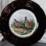 Arklow pottery bird plates Image 2
