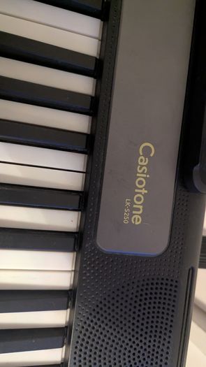 Casio Electric keyboard and stand