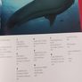 GALAPAGOS / B B C/ Natural History /1st edition, / 2006 Image 7