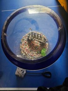 Fish tank