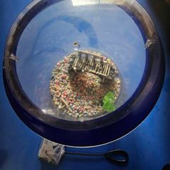 Fish tank