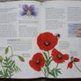 Children's Encyclopaedia Image 3
