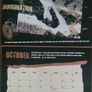 Guinness Calanders Image 4