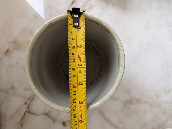 Plant Pot