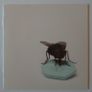 Red Hot Chilli Peppers - I'm With You - CD Image 4