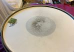 Pearl Free Floater Maple 14