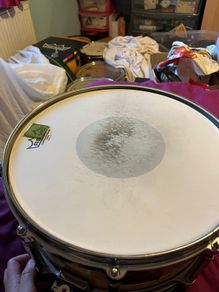 Pearl Free Floater Maple 14" x 6.5" snare drum