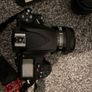 Nikon D800 Image 2