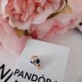 New genuine pandora family charm Image 4