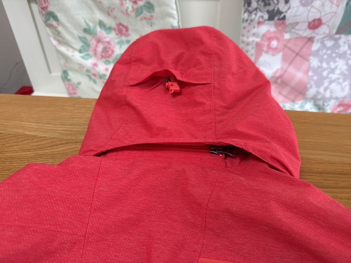 Northface Ski Jacket