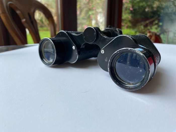Vintage Binoculars by Mason Dublin