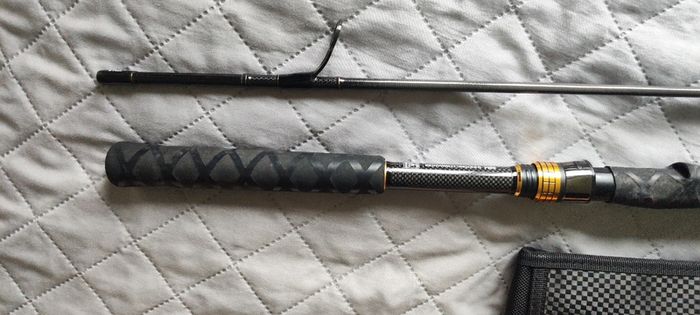 Rod Daiwa Morethan
