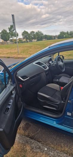 2009 Peugeot 207