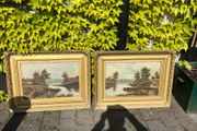 2 x oils