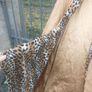 Vintage Roberto Gianni leather coat (free post) Image 3