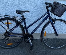 Trek FX1 Hybrid Bike