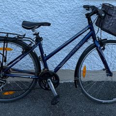 Trek FX1 Hybrid Bike