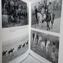 The Young Rider Picture Book by Golden Gorse (PT260) Image 7