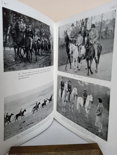 The Young Rider Picture Book by Golden Gorse (PT260)