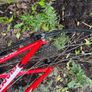 Children's Giant Racer Bike Image 3