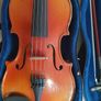 Viola 15" plus accessories Image 2