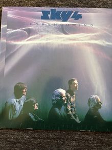 Sky 4 Vinyl