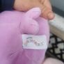 Squishmollows Image 2