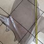windshield for honda pcx Image 5