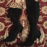 Moda in Pele over the knee Boots size EU-39, UK-6 Image 6