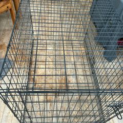 large dog crate