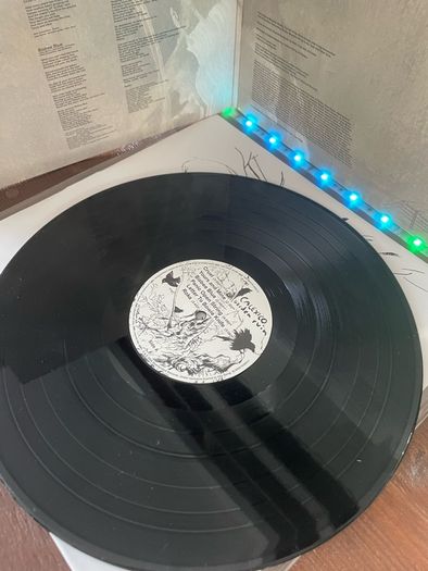 Calexico - Garden Ruin