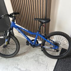 Ridgeback bicycle MX20