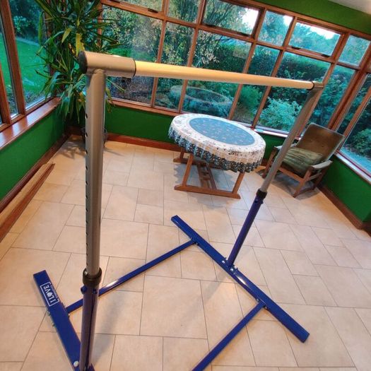 I Love Gymnastics Adjustable Kids Training High Bar (Excellent Condition)