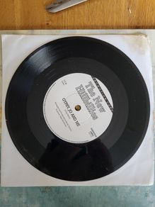 The New Hillbillies Gypsy Jo and Me 7 inch Promo Claytown Records