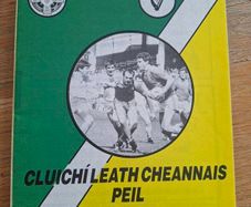 Gaa Leinster Semi Final 1989 Meath V Offaly