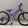 Ridgeback Destiny Bike Image 2