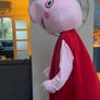 Peppa pig costume Image 4
