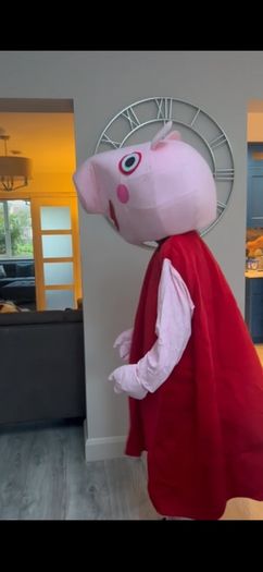 Peppa pig costume