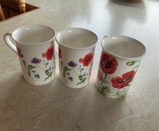 Stechcol Fine Bone China Cups as new