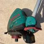 Bosch Combitrim corded electric grass trimmer Image 3