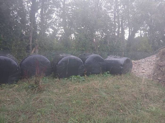 silage