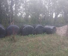 silage