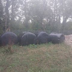silage