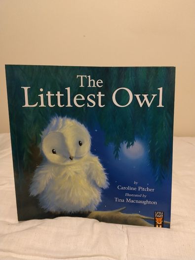 The Littlest Owl by Caroline Pitcher