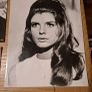 1967 The Graduate Press Photos  Dustin Hoffman Image 3